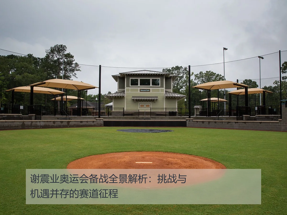 谢震业奥运会备战全景解析:挑战与机遇并存的赛道征程